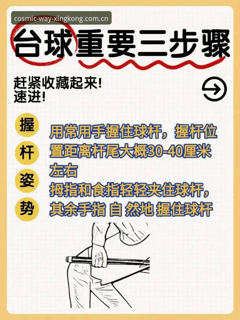 海外华人星空入口中国区官网访问 活用体育赛事资源,掌握观赛互动的实用技巧